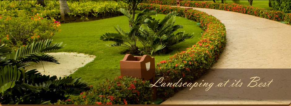 Fencing & Landscaping Morningside
